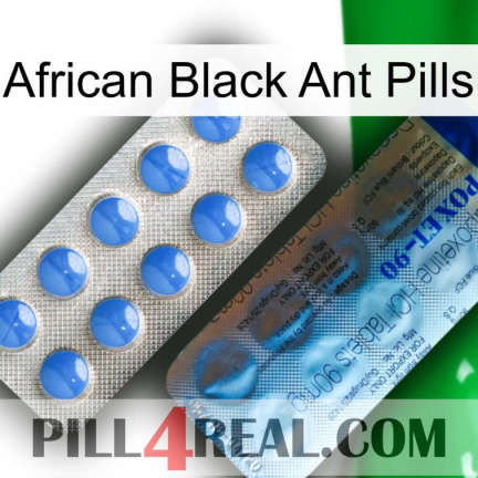 African Black Ant Pills 40